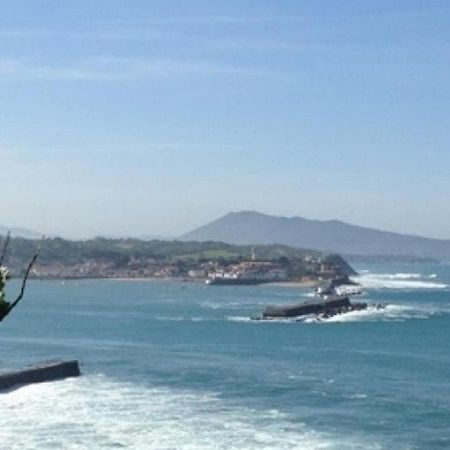 Elegant Appartement A St-Jean-De-Luz - Proche Plage & Commerces - Fr-1-239-851 Сен Жан дьо Луз Екстериор снимка